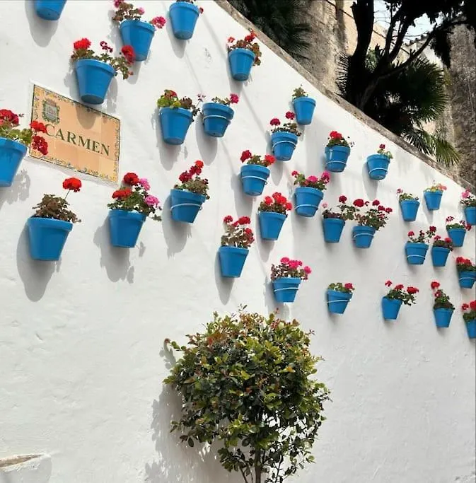 Apartament Calmo Marbella, Exclusivo, Centrico Y Con Piscina